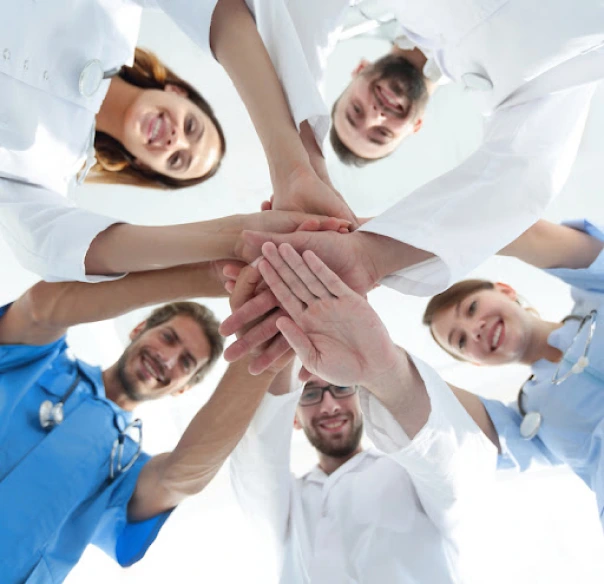 Meet our Team